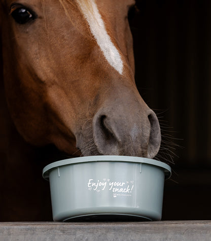 Waldhausen - Small Feeding Bowl "Enjoy your snack"