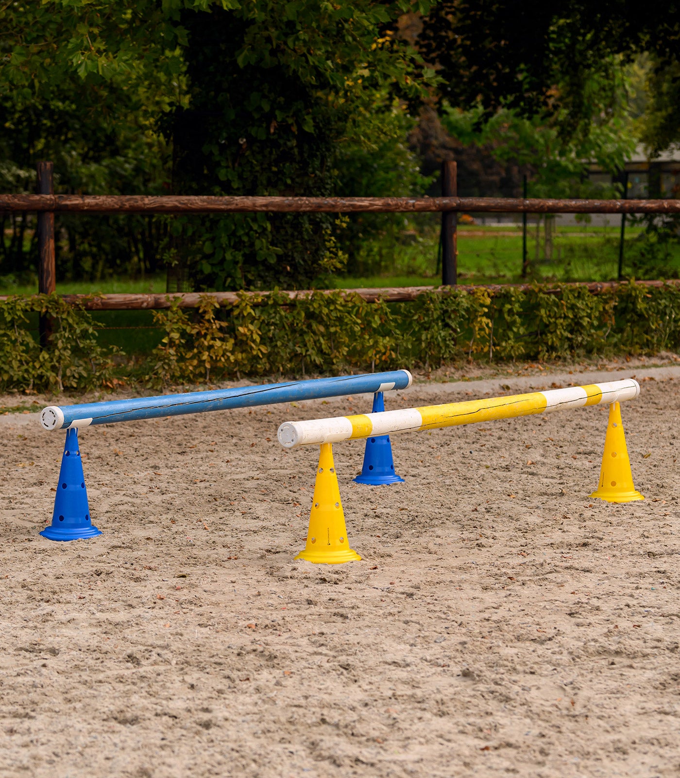 Waldhausen - XL pylons set of 8 incl. carrying bag