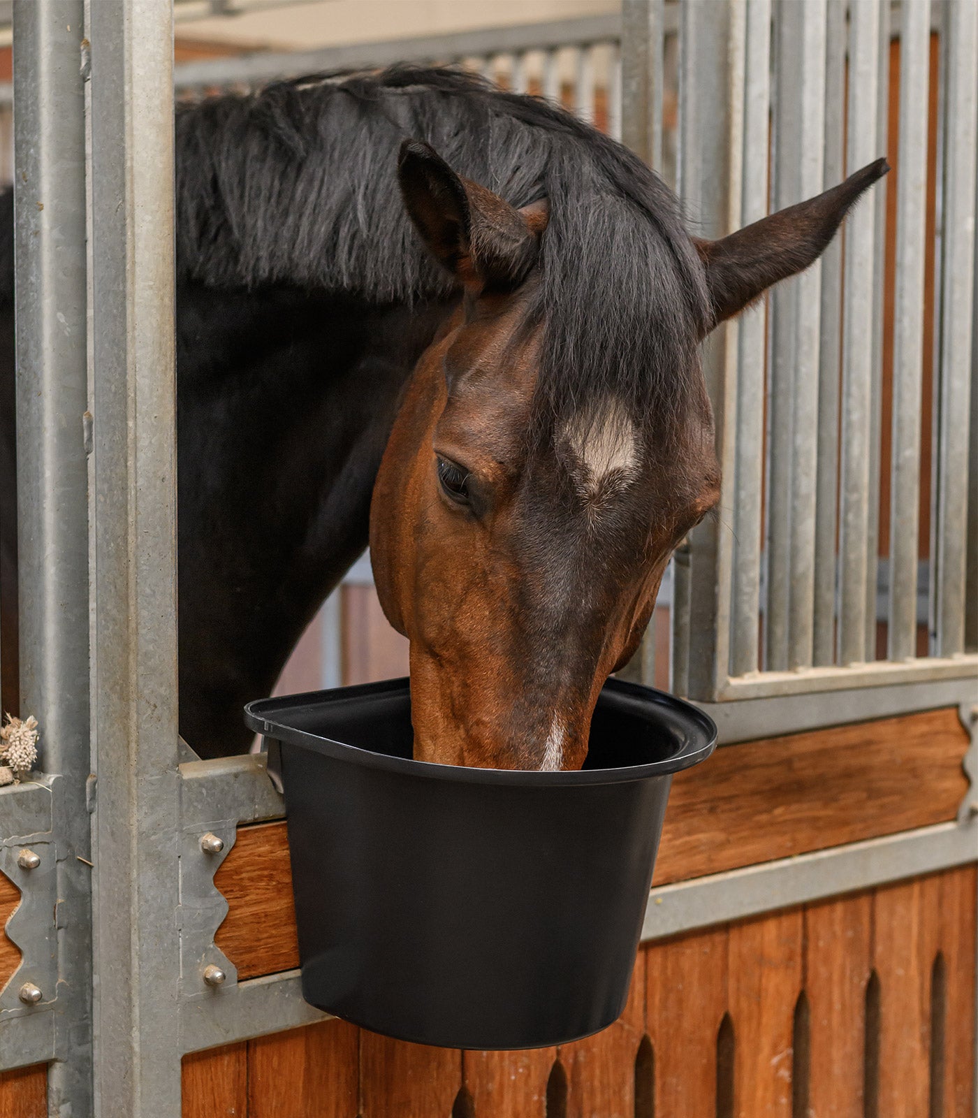 Waldhausen - Plastic Feed Bin+Hangers, black