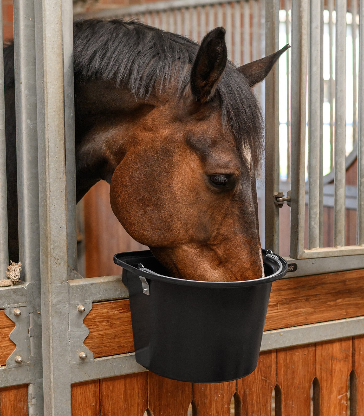 Waldhausen - Feed Bin with Hanger+Handle, black