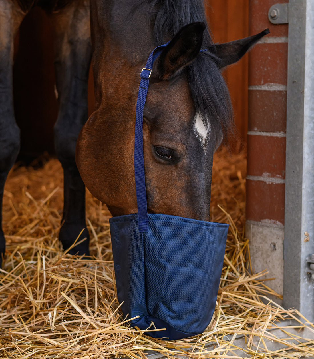 Waldhausen - Canvas Feedbag, blue