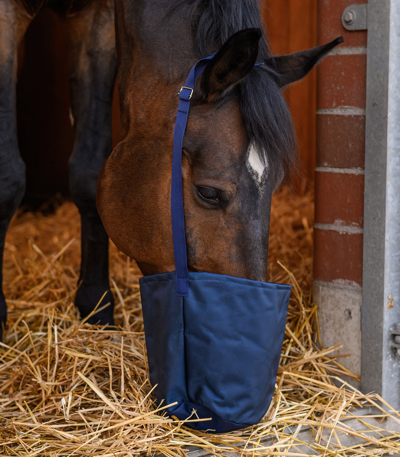Waldhausen - Canvas Feedbag, blue