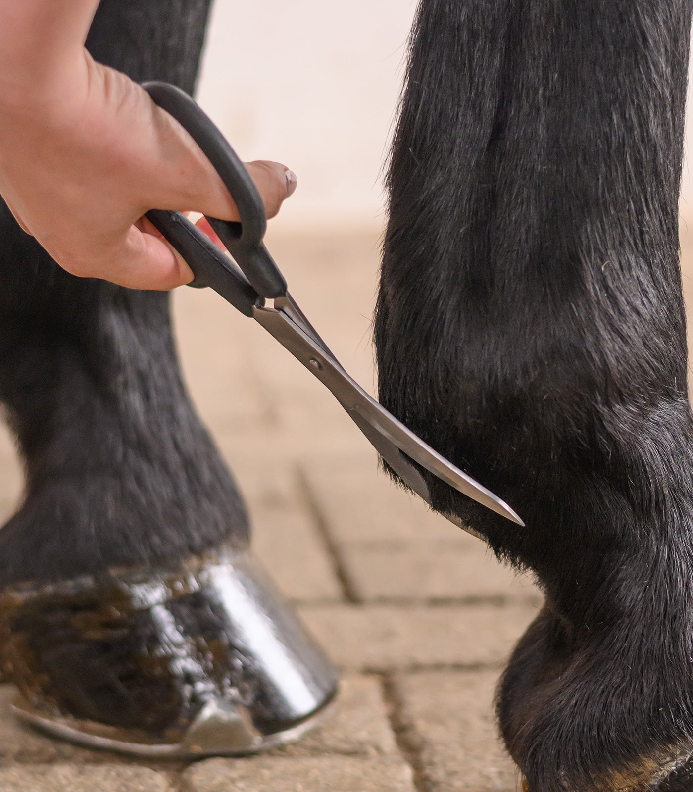 Waldhausen - Fetlock Scissors,Long Curved