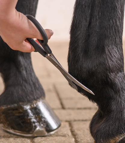 Waldhausen - Fetlock Scissors,Long Curved