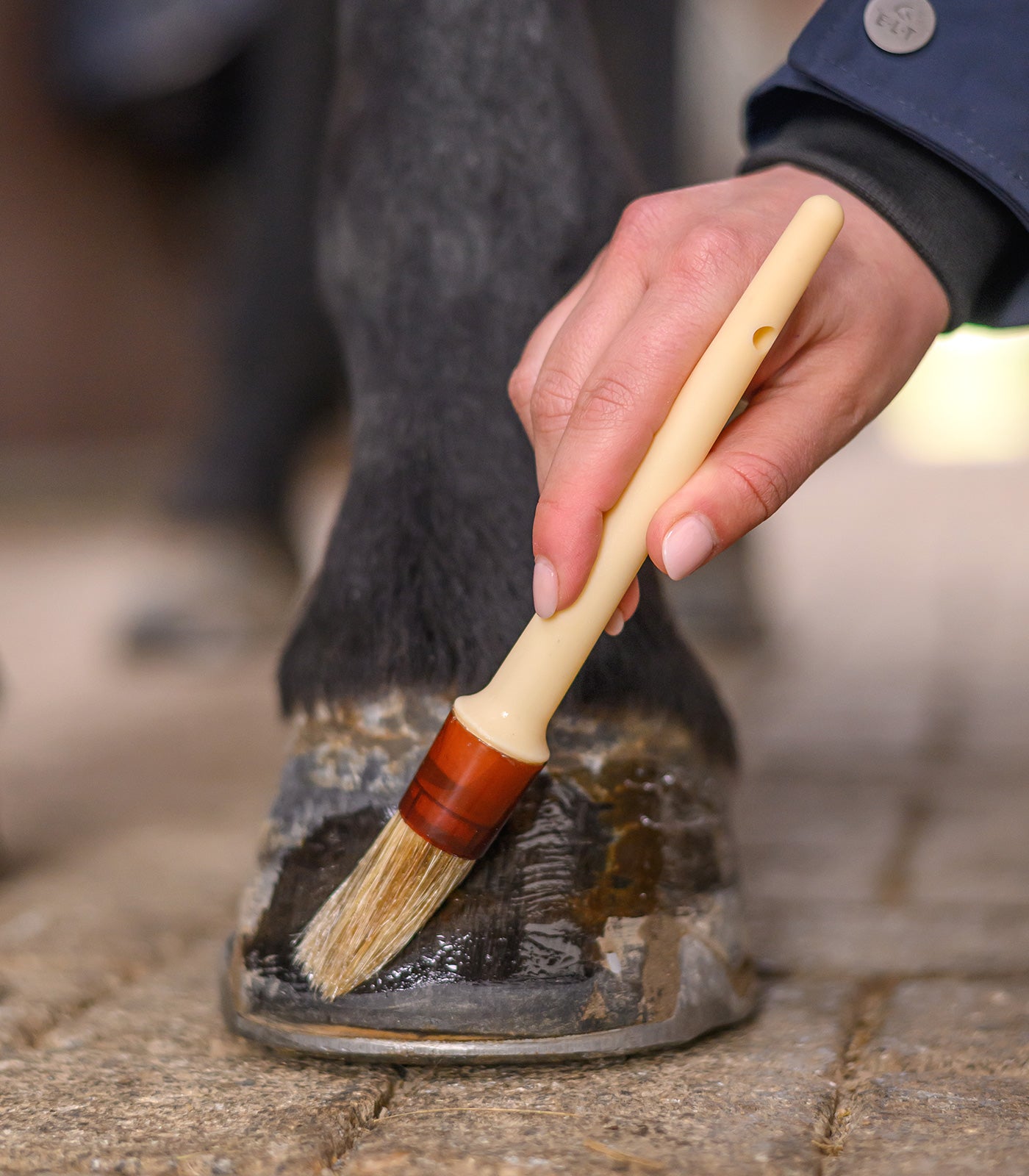 Waldhausen - Hoof Dressing Brush