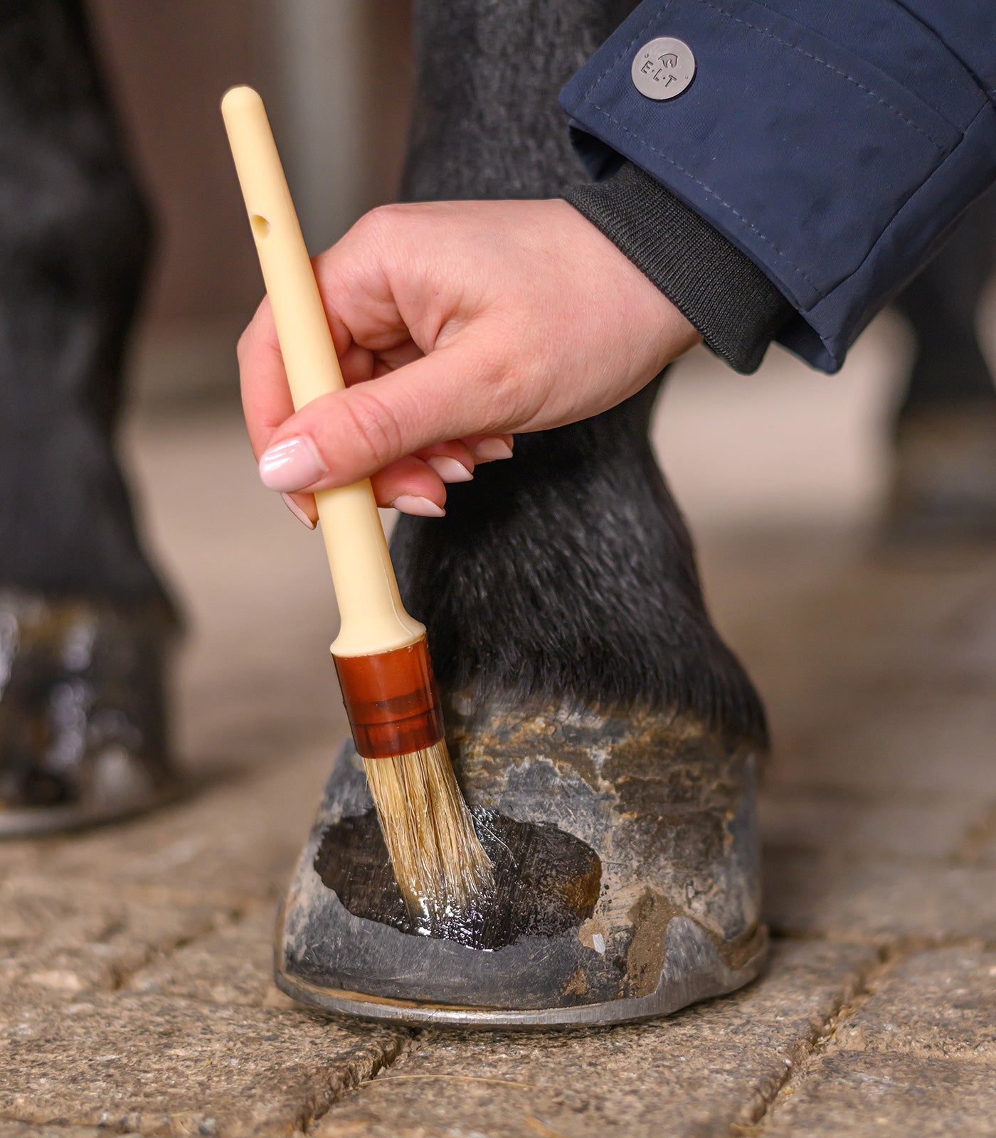 Waldhausen - Hoof Dressing Brush