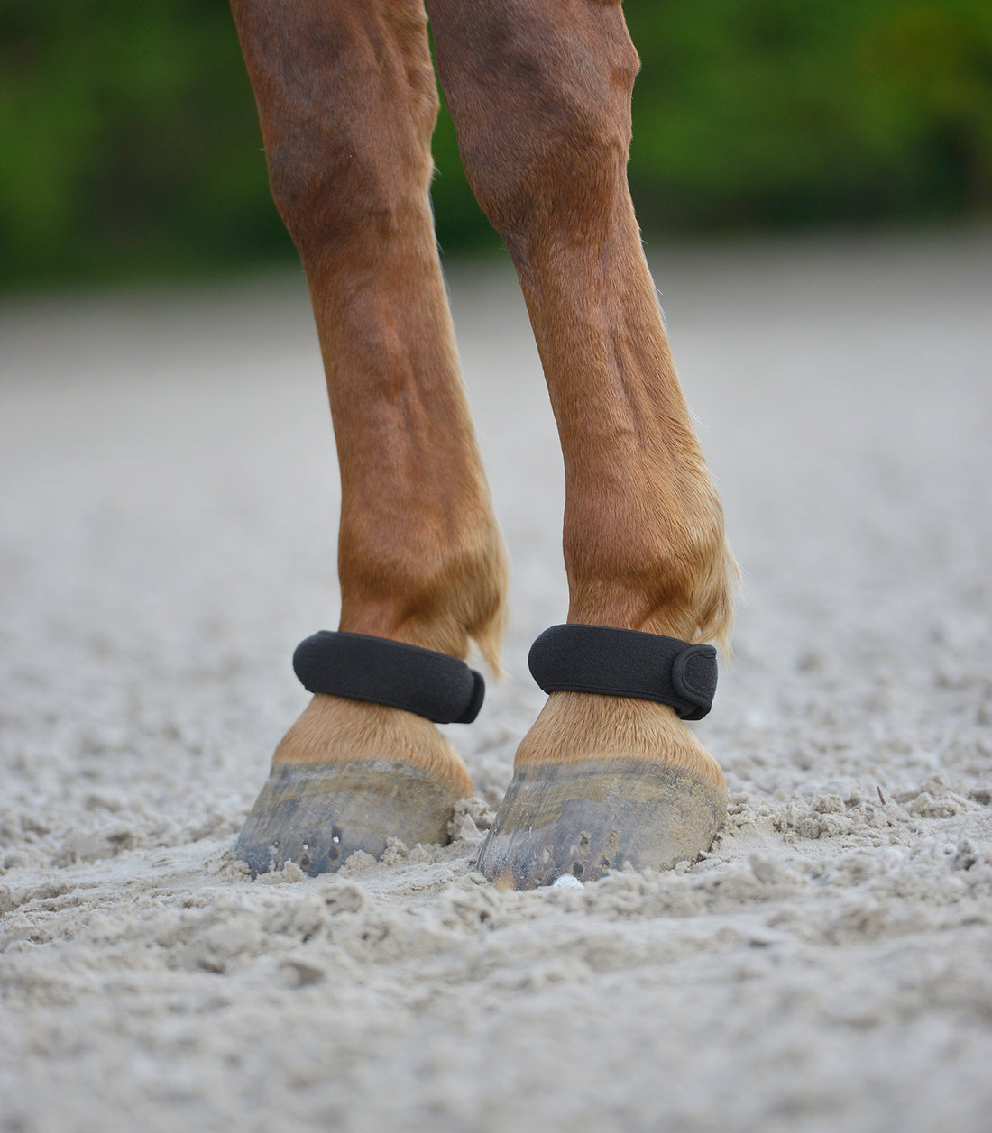 Waldhausen - Fetlock Ring, black, unisize, pair