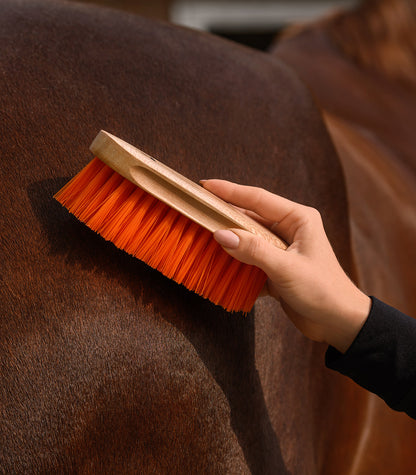 Waldhausen - Mane Brush