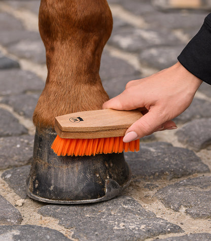 Waldhausen - Hoof Brush
