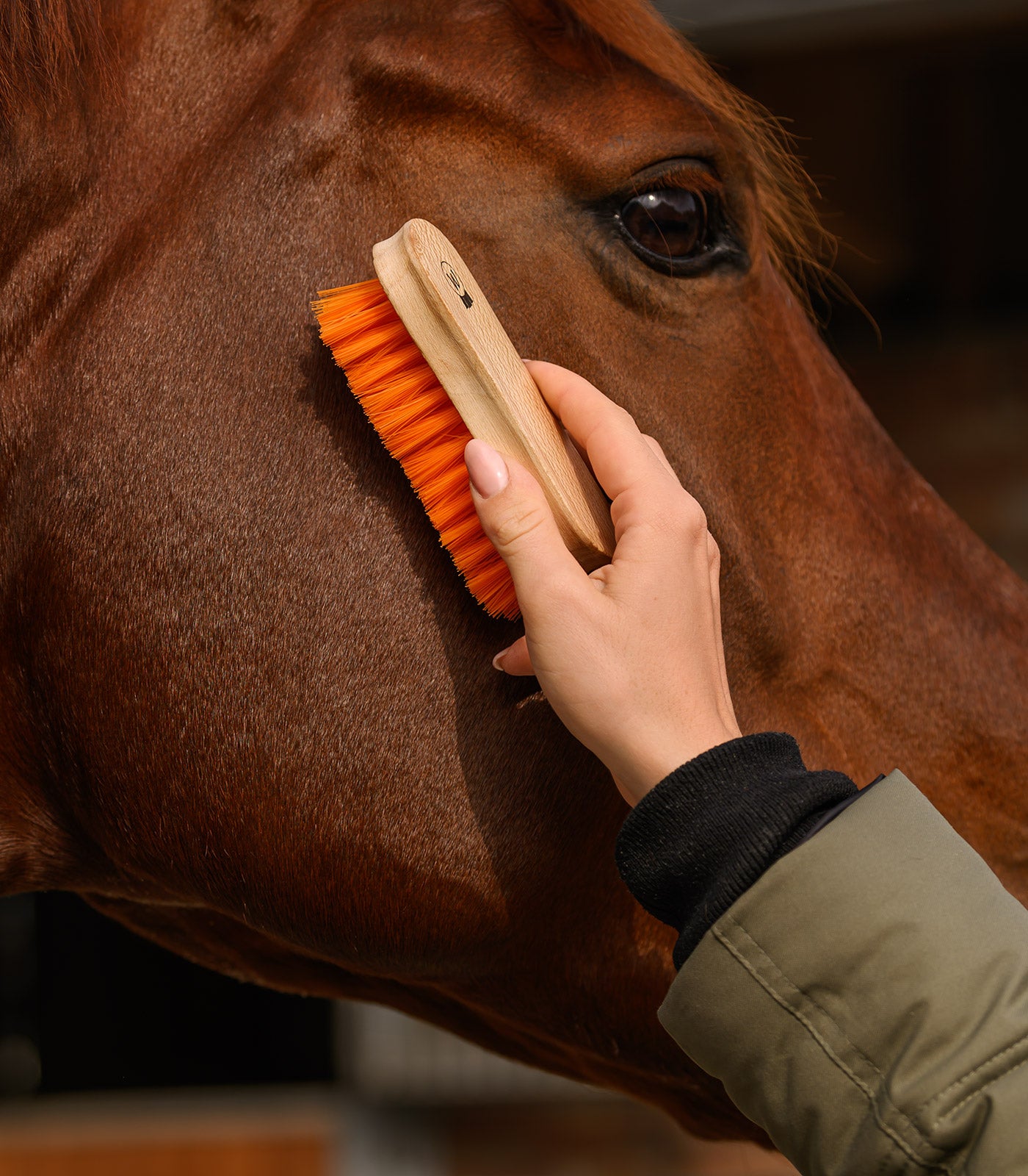 Waldhausen - Head Brush soft