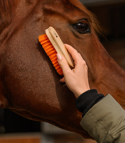 Waldhausen - Head Brush soft
