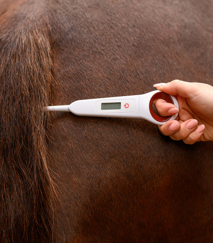Waldhausen - Digital Thermometer for horses