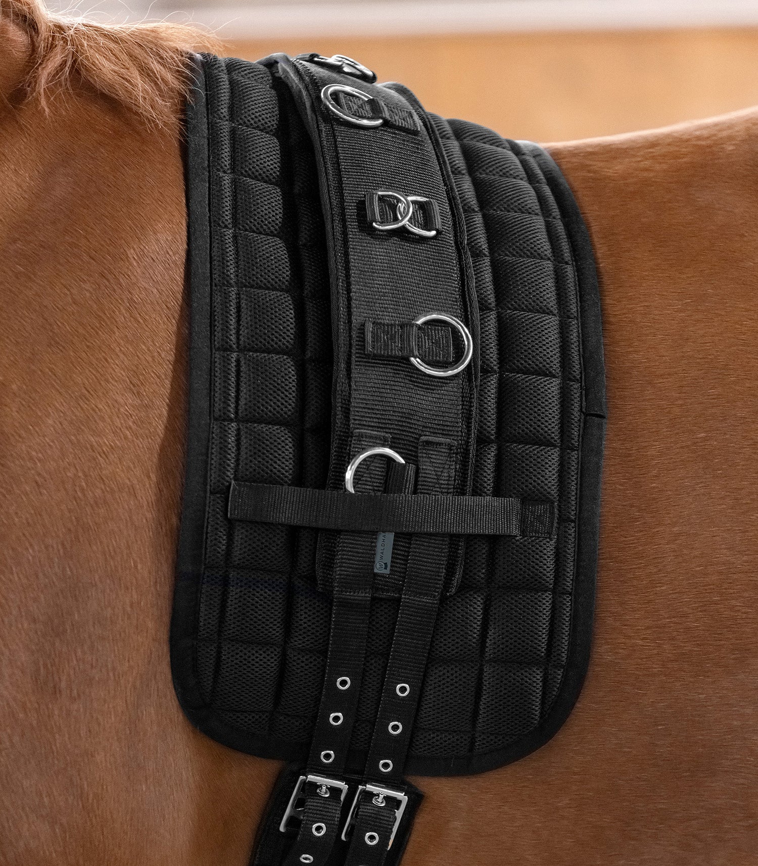 Waldhausen - Lunging Girth Supersoft, black