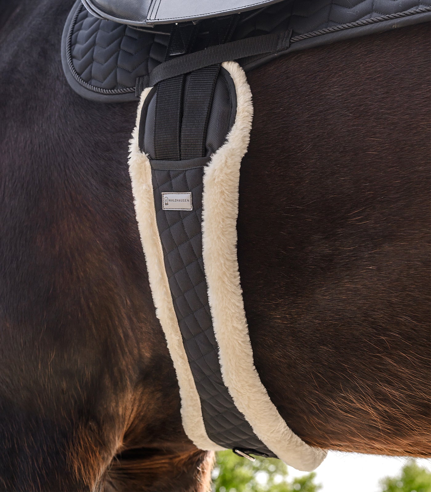 Waldhausen - Half moon longgirth, black