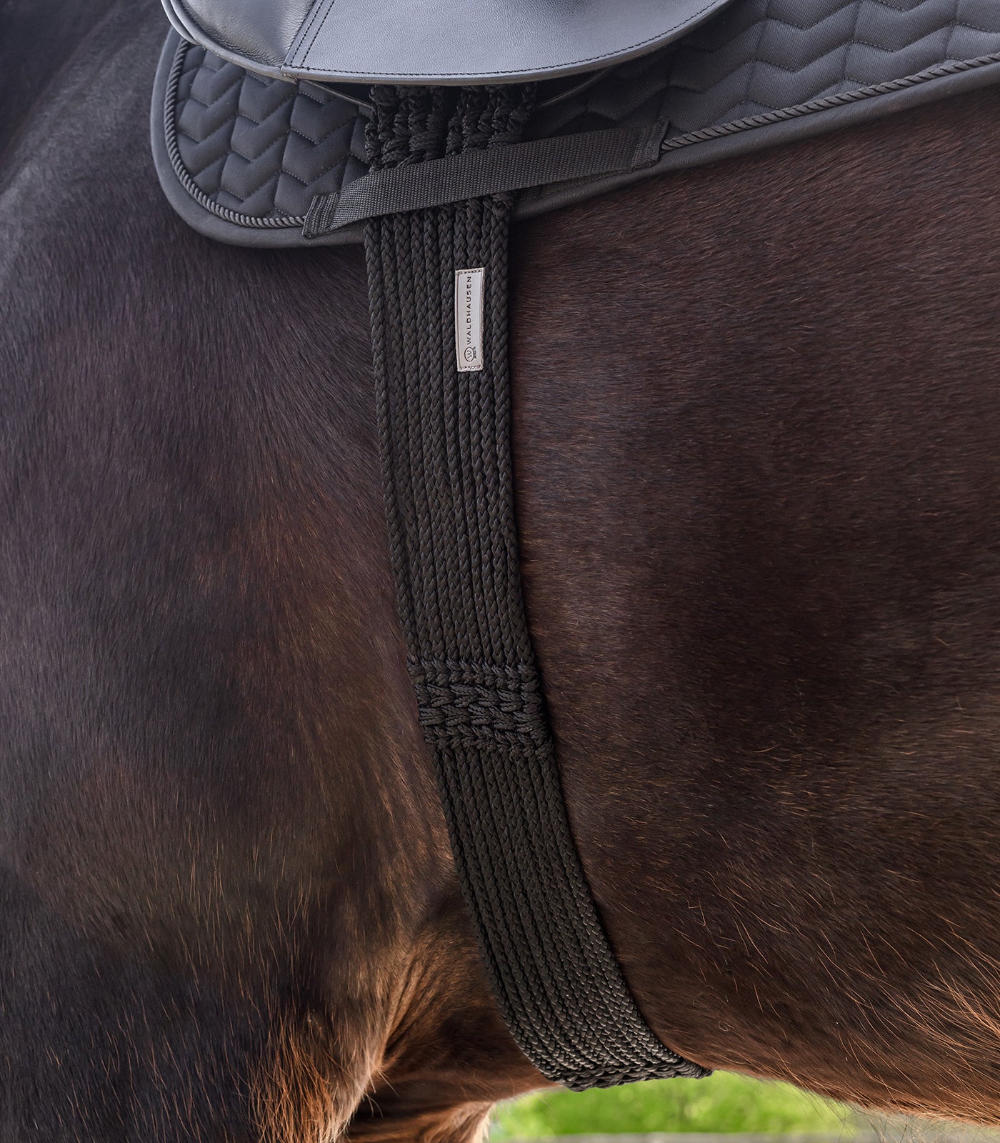 Waldhausen - string girth, black