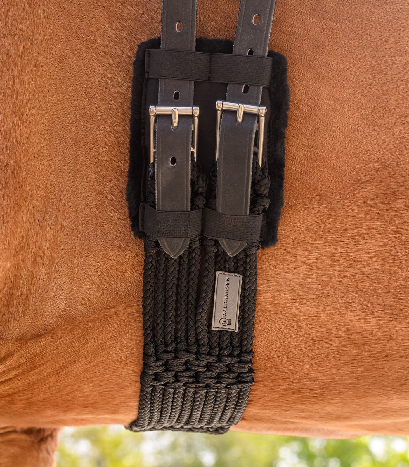 Waldhausen - Buckle protection pad for shortgirths