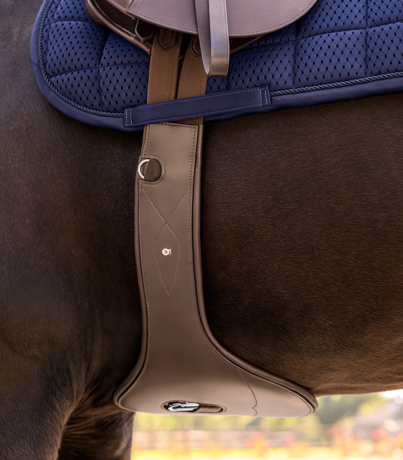 Waldhausen - Leathergirth with stud guard