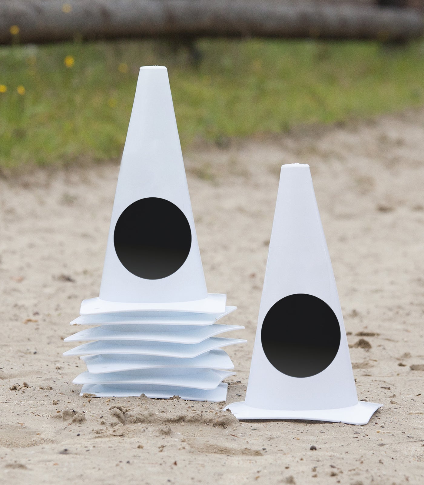 Waldhausen - Dressage Markers, Circle Points