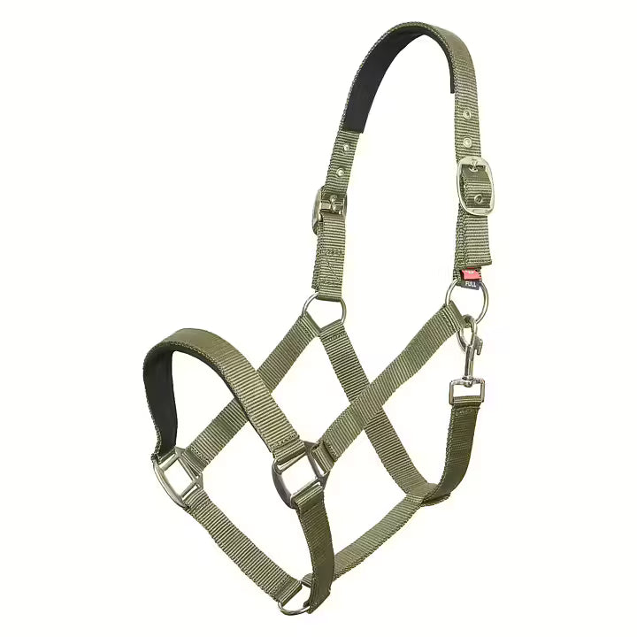 Imperial ridning, Grime- Light Olive