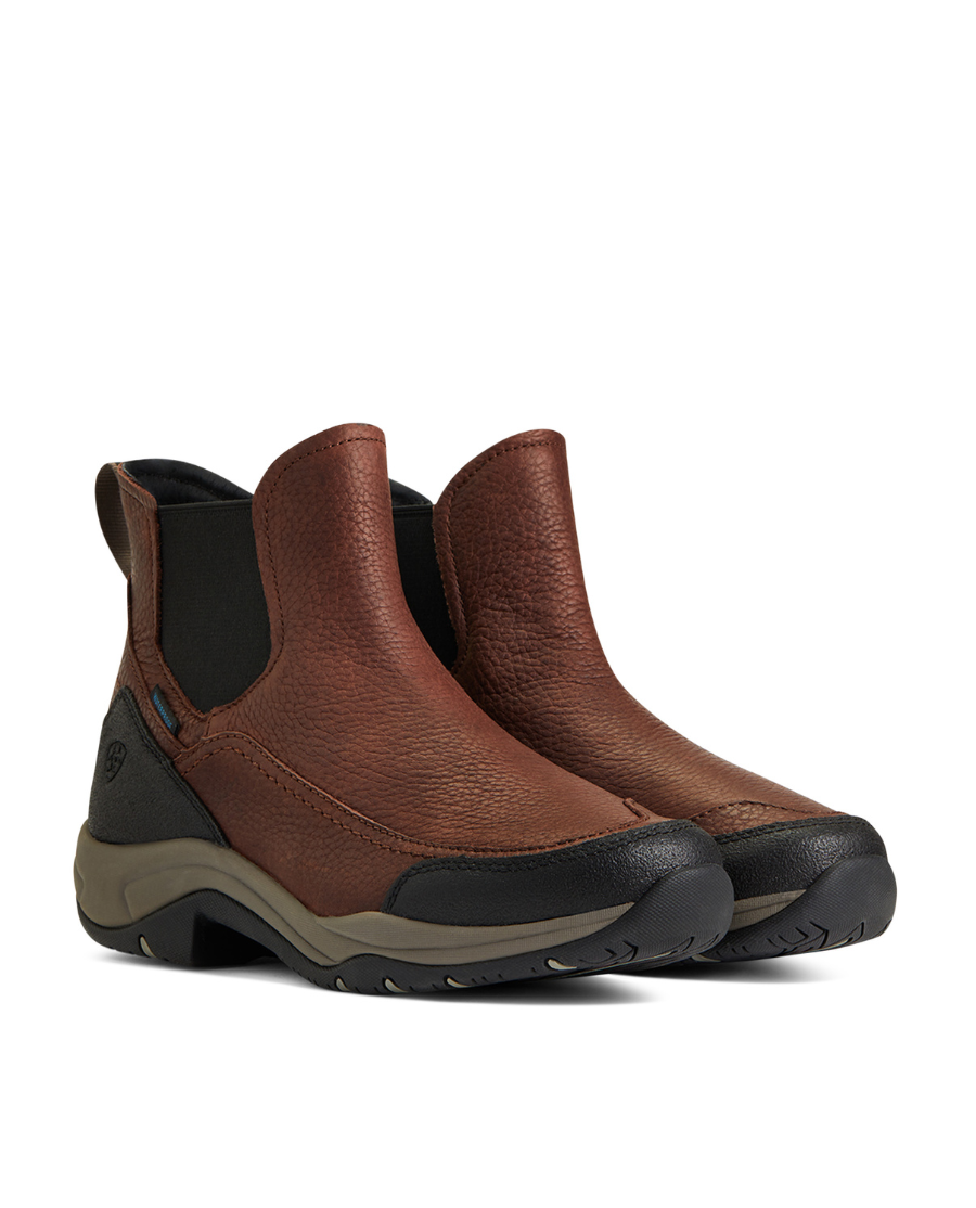 Ariat - Dame, Terrain Blaze H2O -Dark Brown
