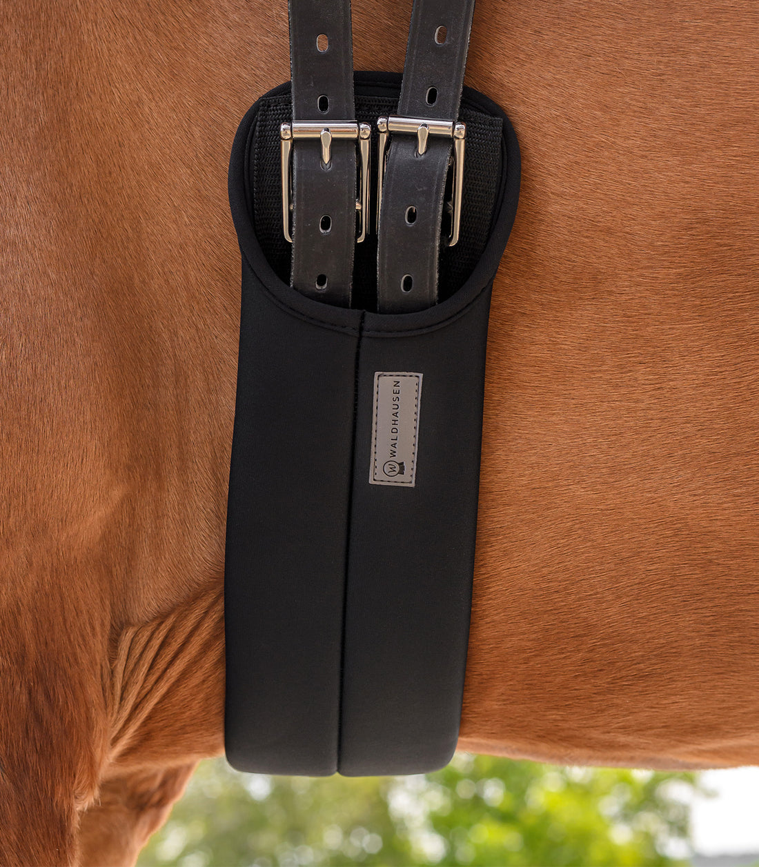 Waldhausen - Dressage Girth, black