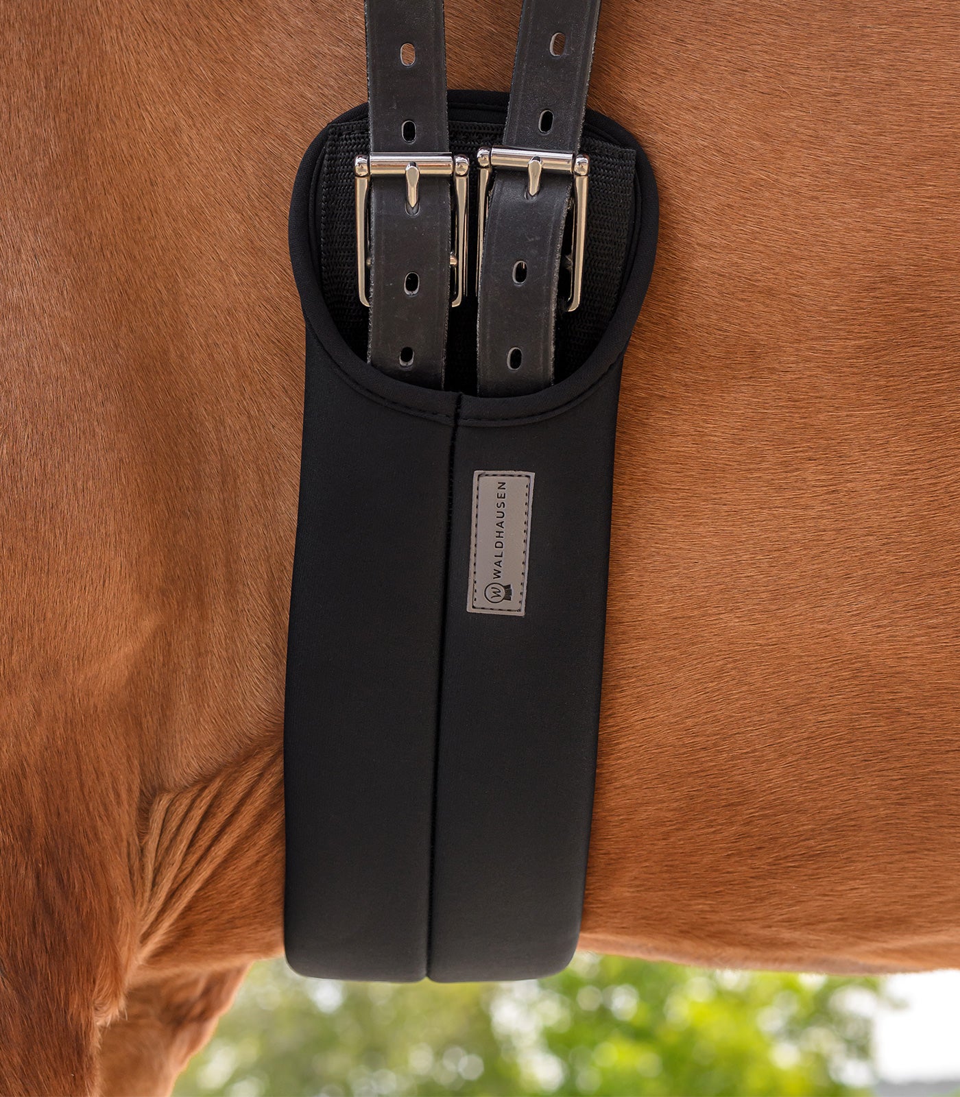 Waldhausen - Dressage Girth, black