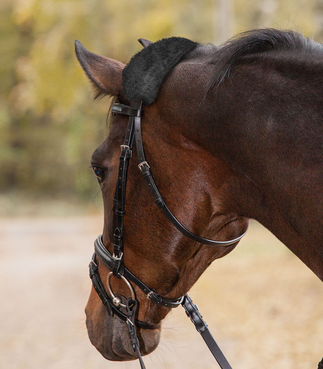 Waldhausen - Real Lambskin-Noseband Sleeve, 27 cm
