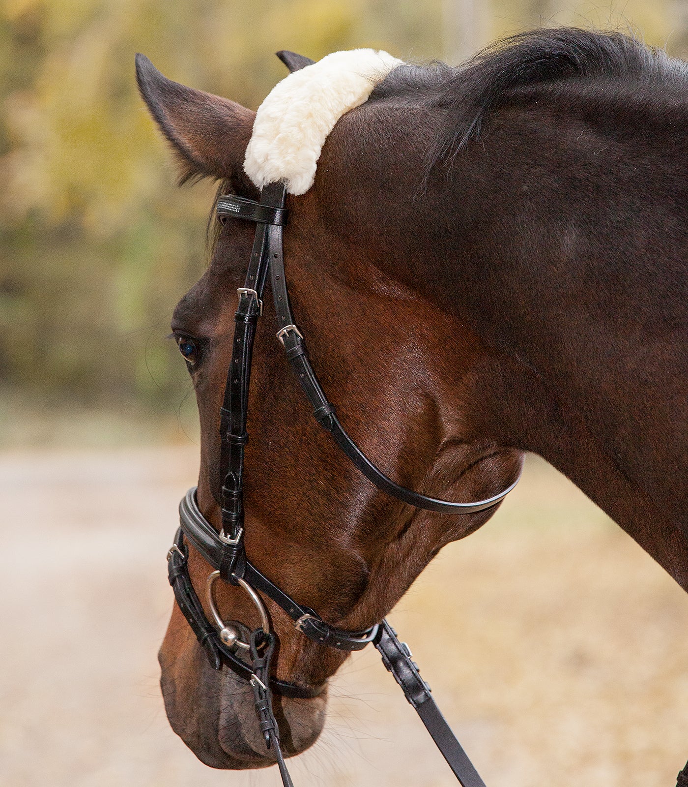 Waldhausen - Real Lambskin-Noseband Sleeve, 27 cm