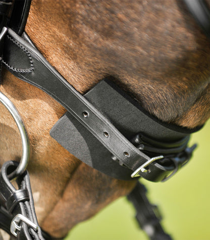 Waldhausen - Bridle pad, black, 20 pcs. incl. display