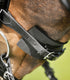 Waldhausen - Bridle pad, black, 20 pcs. incl. display