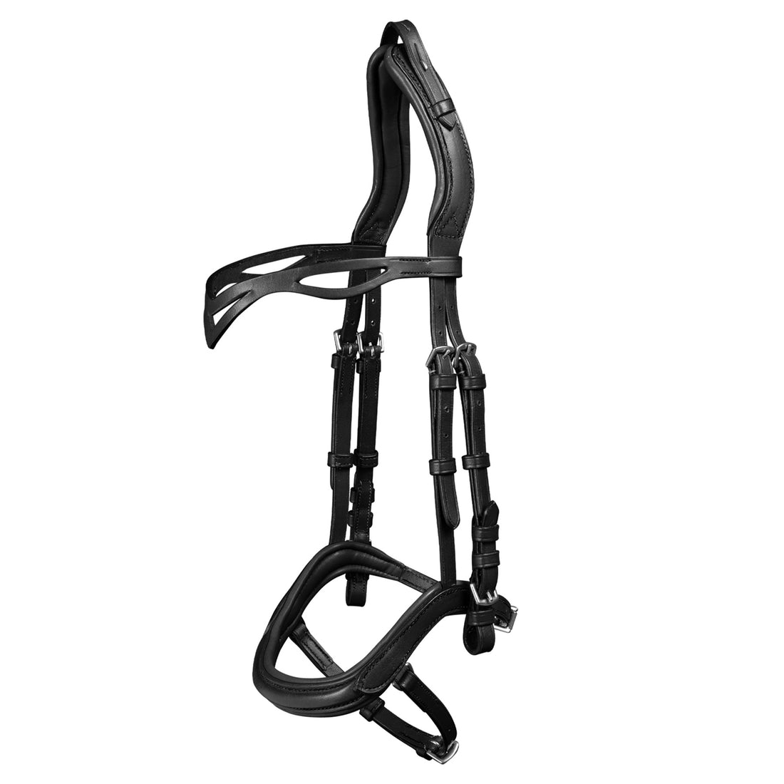 Waldhausen - Icelandic bridle anatomic
