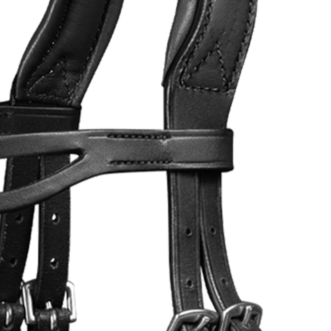 Waldhausen - Icelandic bridle anatomic