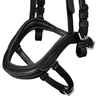 Waldhausen - Icelandic bridle anatomic