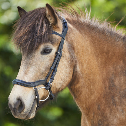 Waldhausen - Icelandic bridle anatomic