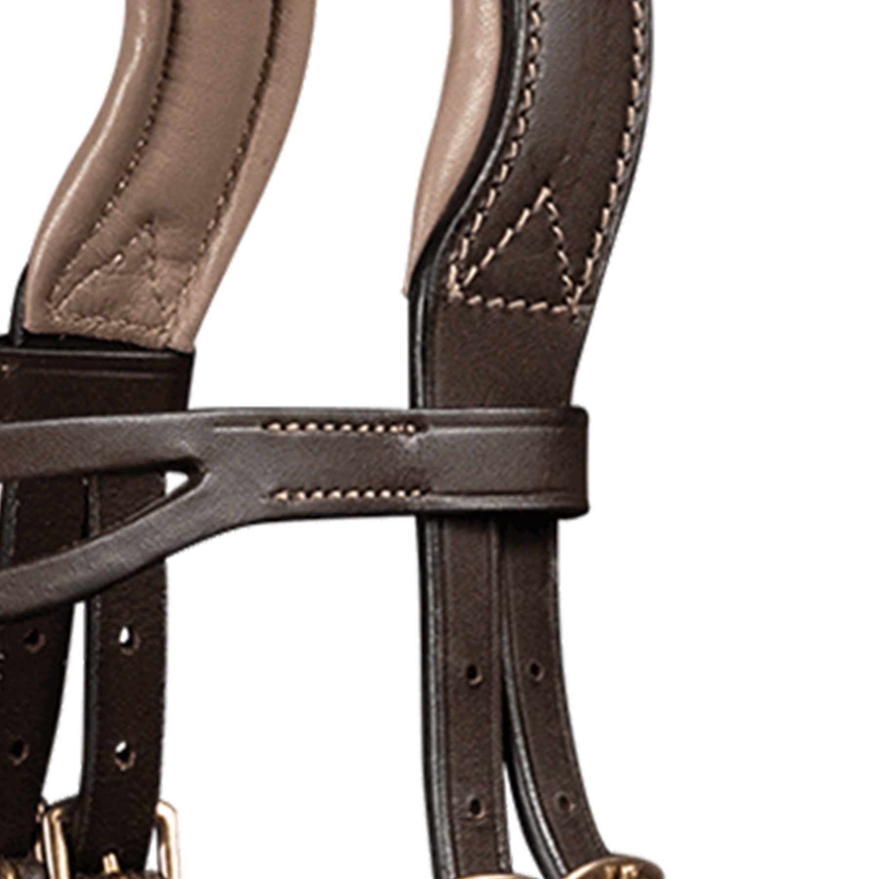 Waldhausen - Icelandic bridle anatomic
