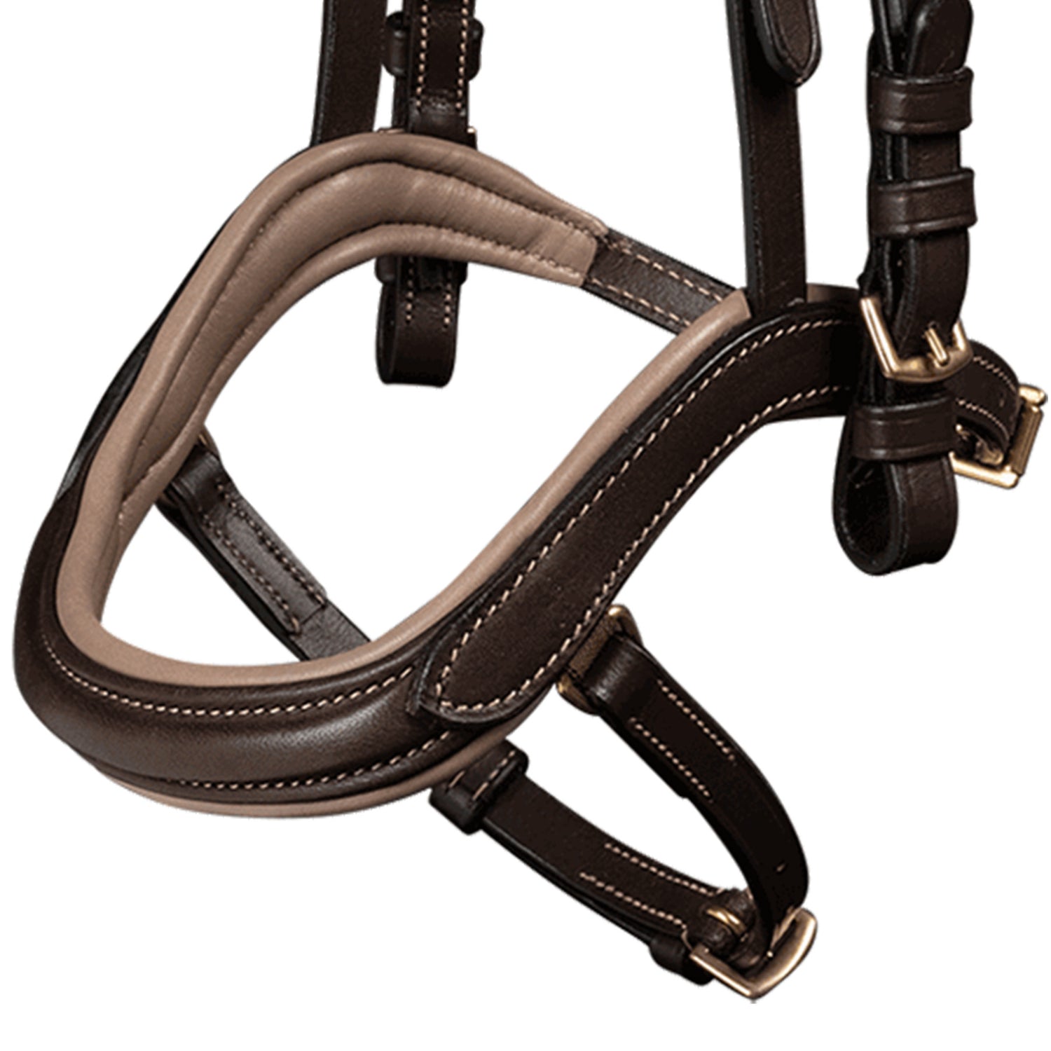 Waldhausen - Icelandic bridle anatomic