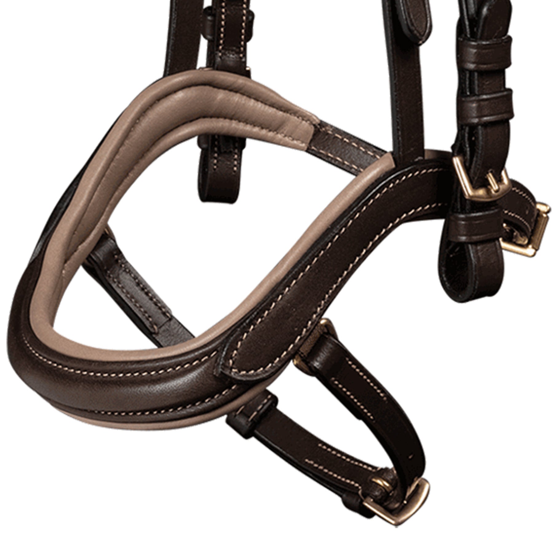 Waldhausen - Icelandic bridle anatomic