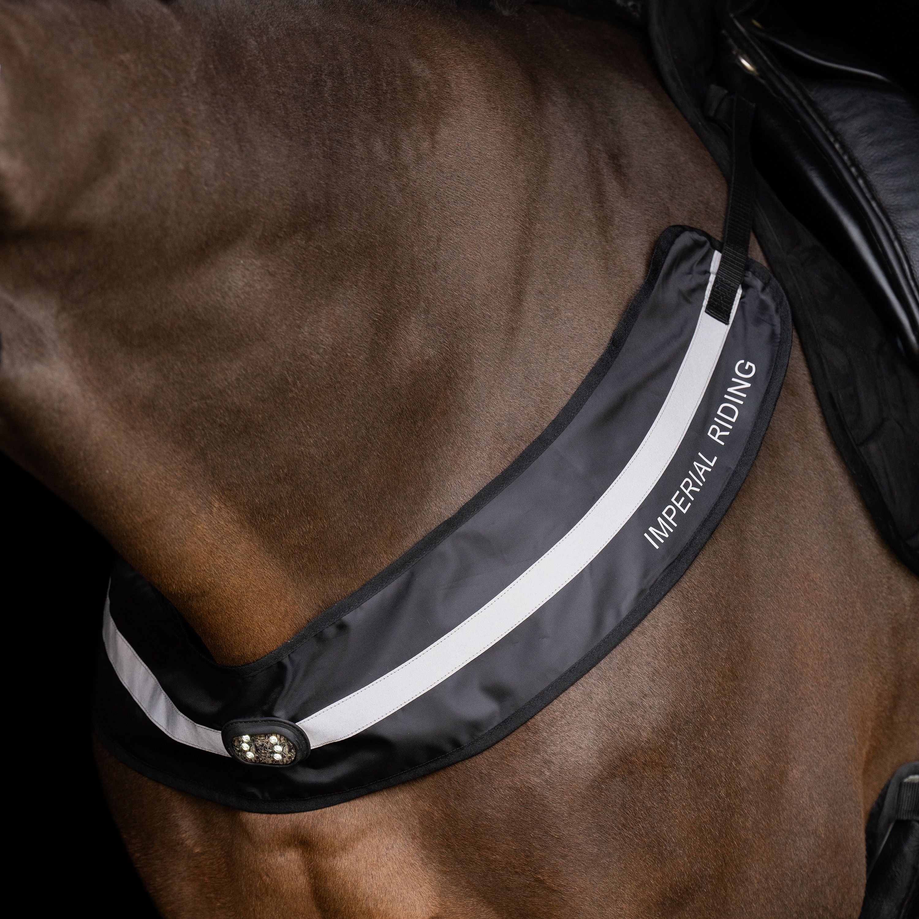 Imperial ridning, Bringe reflex, Luminous- Reflex