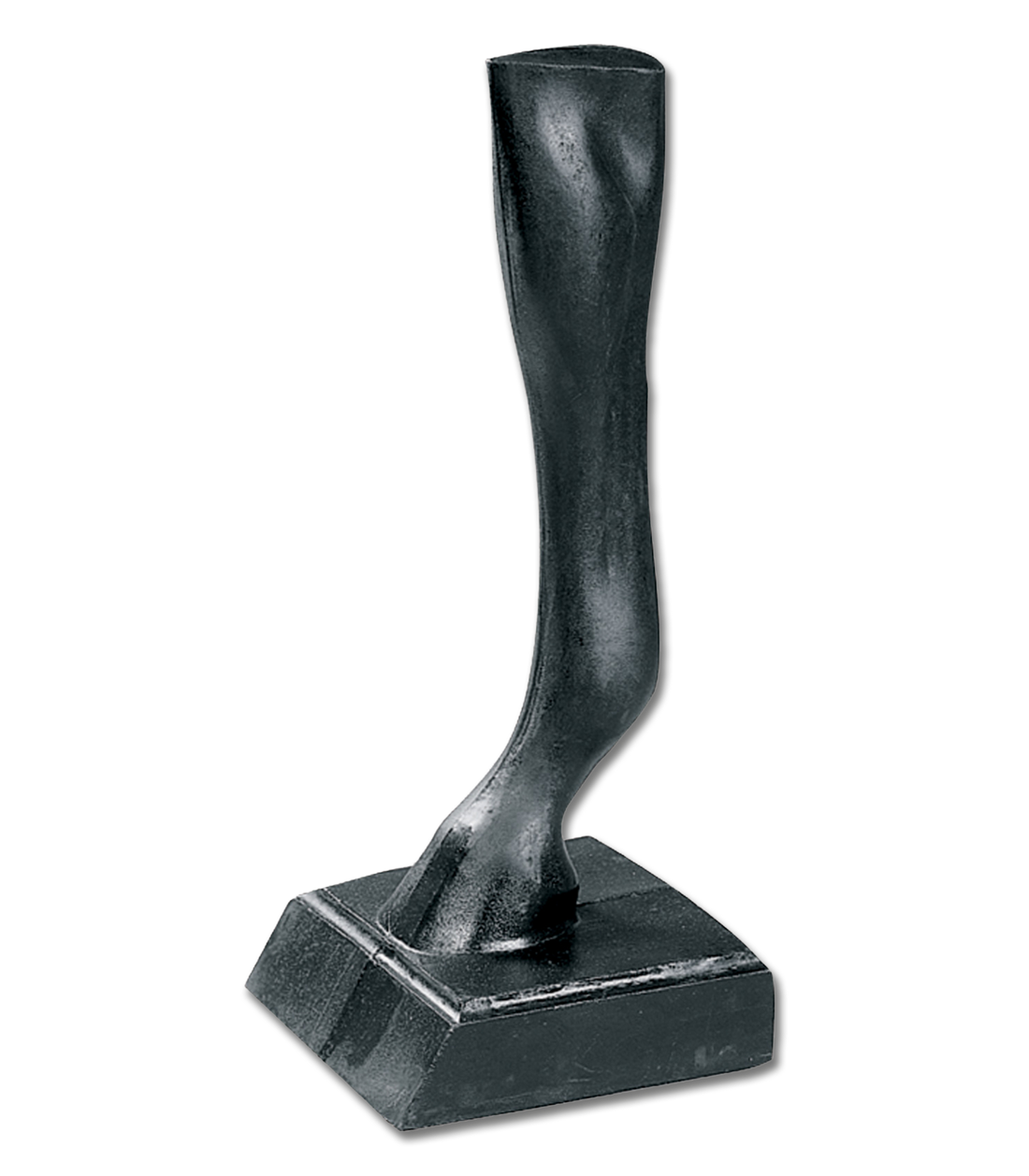 Waldhausen - Display Horse-Frontleg black