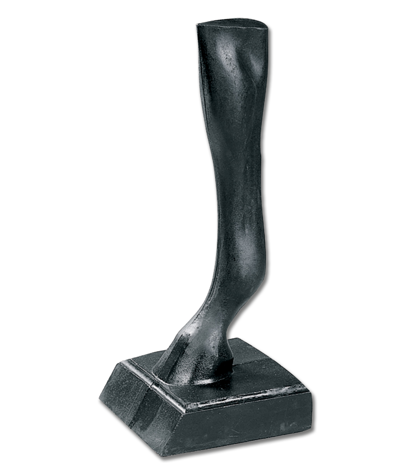Waldhausen - Display Horse-Frontleg black