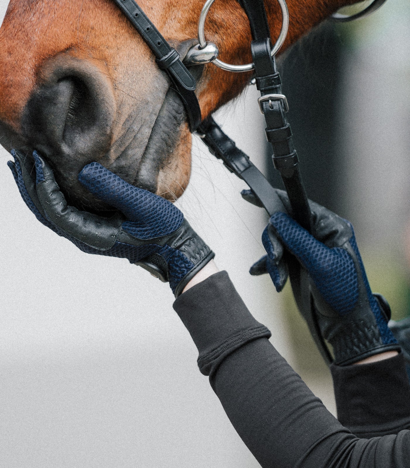 ELT - Ridingglove Nantes