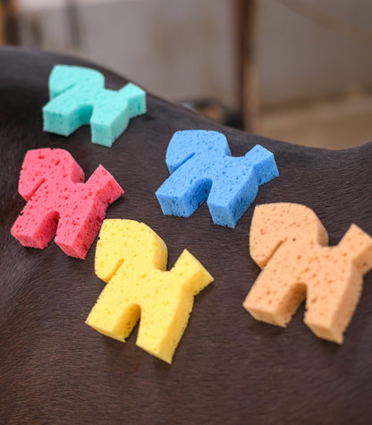 Waldhausen - Sponge Horse