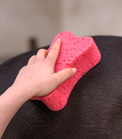Waldhausen - Sponge, pink, 16,5 x 11 x 5 cm