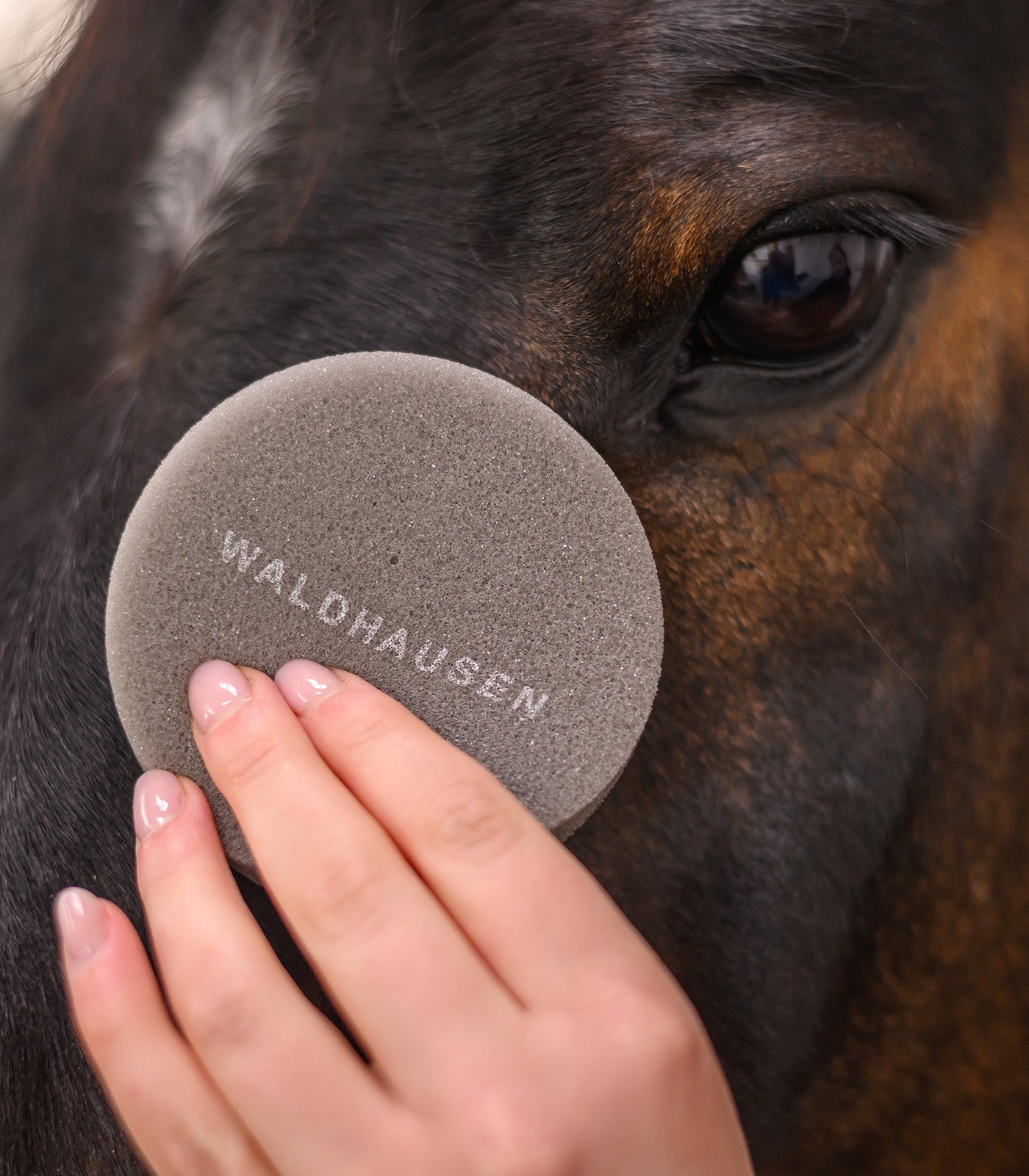 Waldhausen - Round care sponge soft