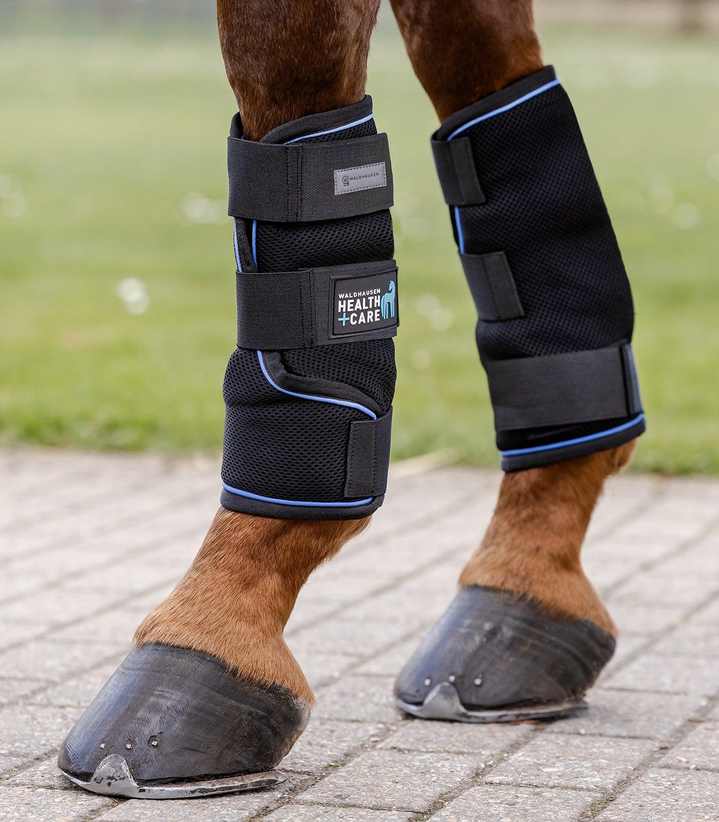 Waldhausen Health + Care - Waldhausen Heath + Care Ice Layer Boot