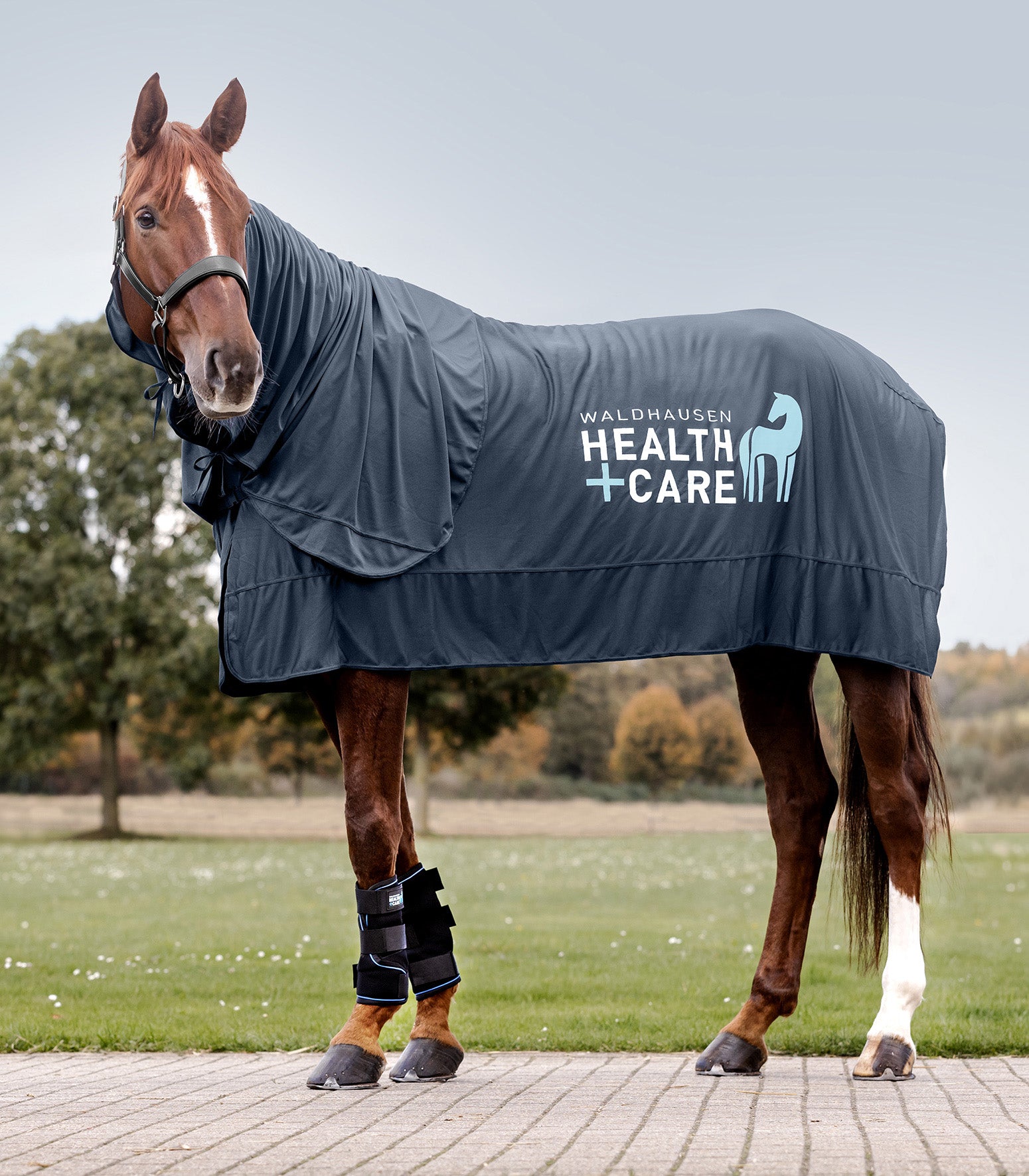 Waldhausen Health + Care - Waldhausen Heath + Care Ice Layer Boot