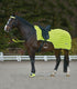 Waldhausen - Reflex rug with lightstripes, neon