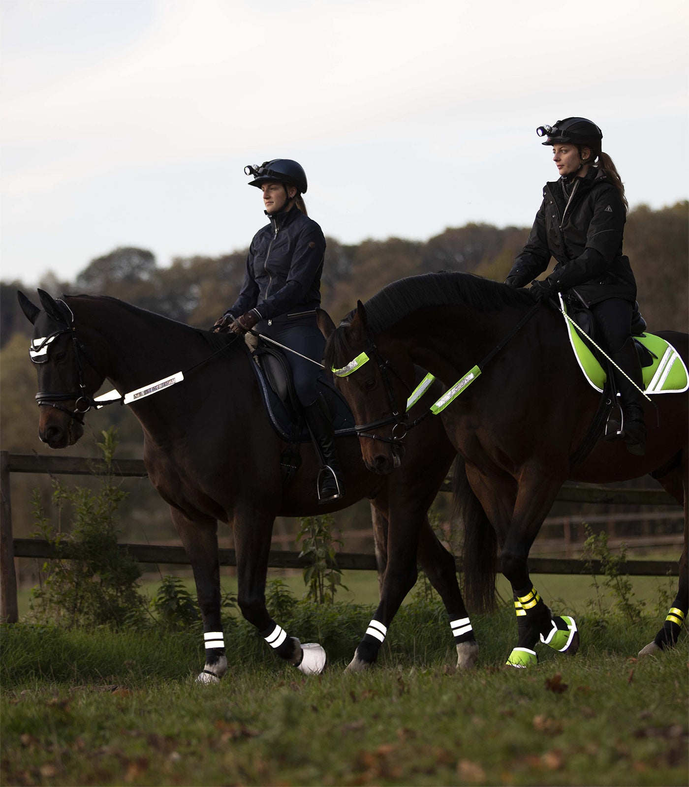 Waldhausen - Reflex Straps for bridle Set=3 pcs.