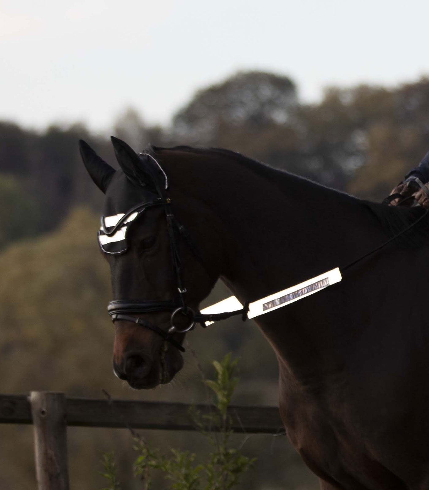 Waldhausen - Reflex Straps for bridle Set=3 pcs.