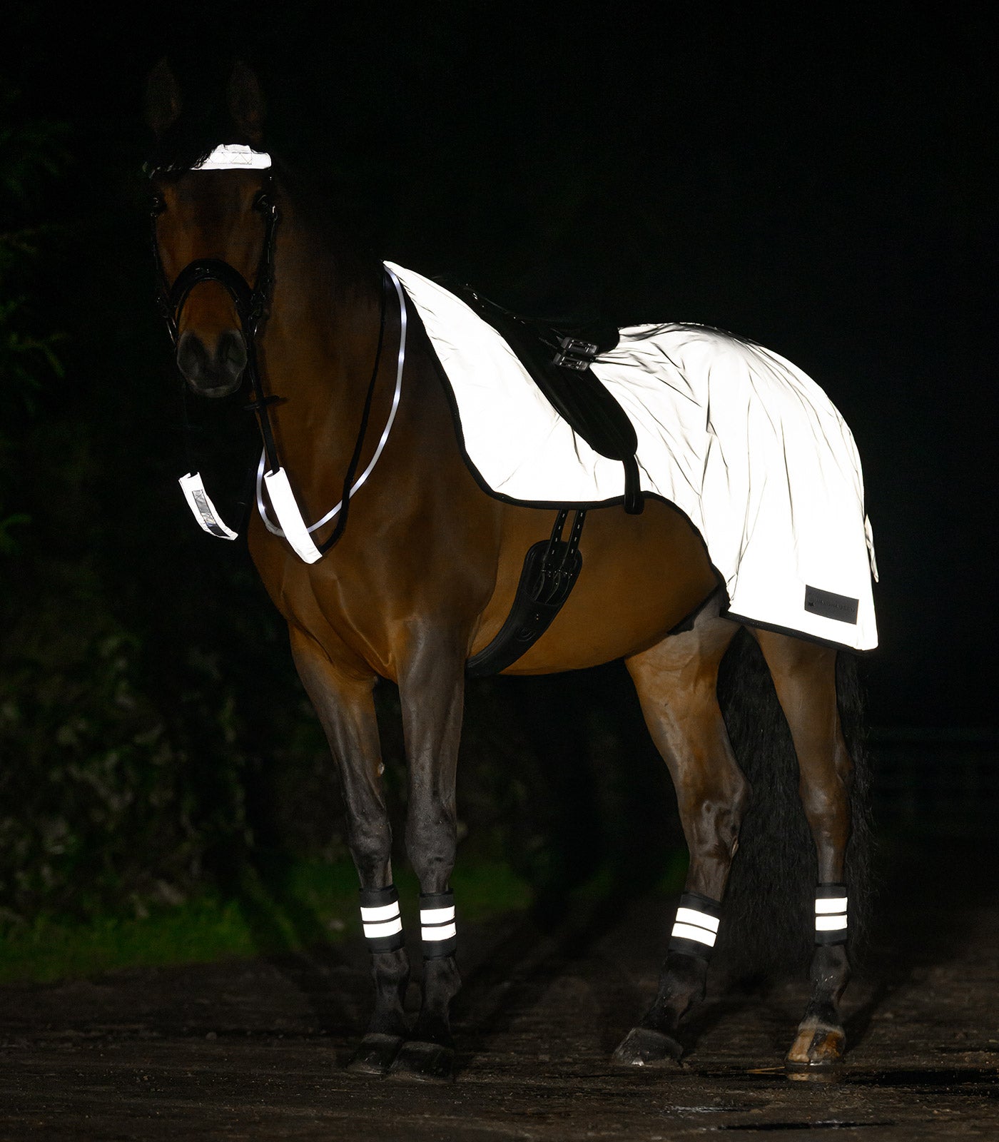 Waldhausen - Reflex Straps for bridle Set=3 pcs.